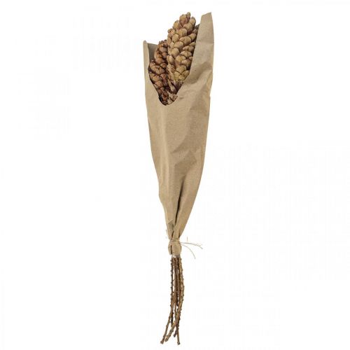 Floristik24 Weymouthskiefer Zapfen Kiefernzapfen H70cm 7 St Bund