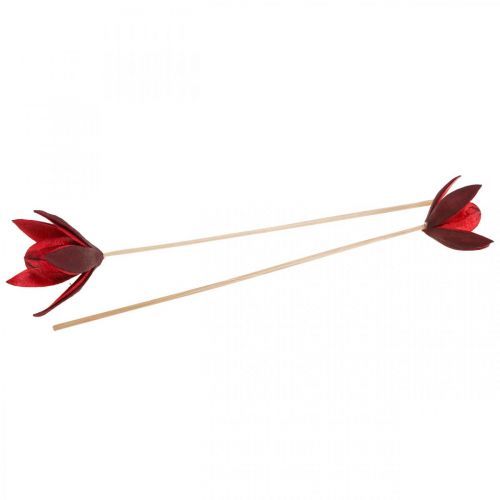 Floristik24 Wildlilie am Stiel Rot Ø6,5cm 35cm 45 St