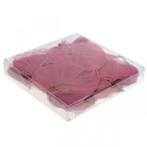 Floristik24 Skelettblätter Willowblätter skelettiert Altrosa 10-15cm 200 St