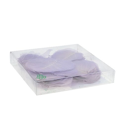 Floristik24 Willowblätter skelettiert Hellviolett 200 St.