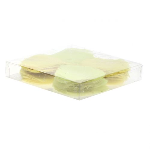 Floristik24 Willowblätter skelettiert Gelb Mix 200 St