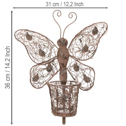 Windlicht Wanddeko Metall Schmetterling Rostoptik 36,5cm | Floristik24.at