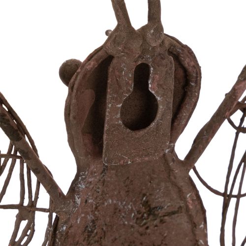 Windlicht Wanddeko Metall Schmetterling Rostoptik 36,5cm | Floristik24.at