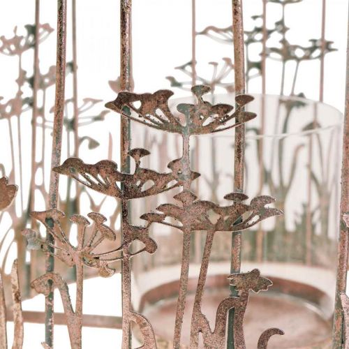 Floristik24 Windlicht Metall Hängedeko Ø29/23,5cm Vogelkäfig Deko 2er-Set