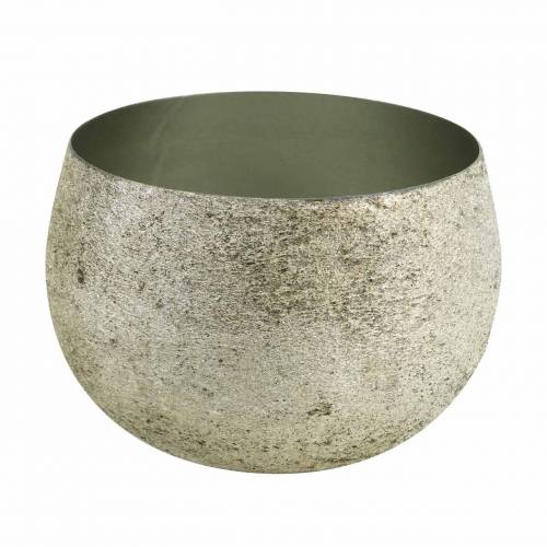 Floristik24 Dekoschale Champagner Metall Ø17cm H11,5cm