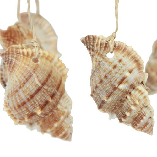Artikel Windspiel Maritime Deko mit Kokos Natur Ø12,5cm 48cm