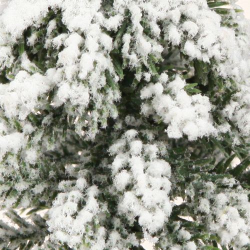 Floristik24 Winterdeko Tannenbaum in Grün Weiß Ø7cm H14cm 4St