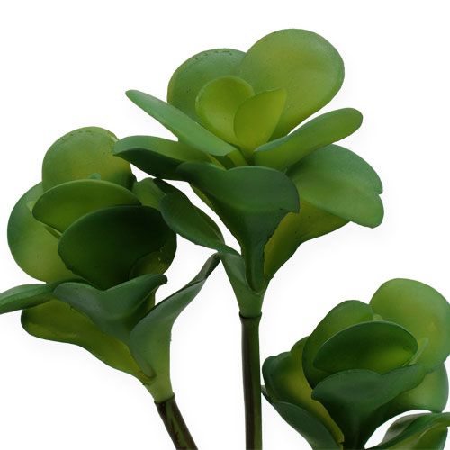 Floristik24 Kunstpflanzen Wüstenkohl Grün 25cm 3St