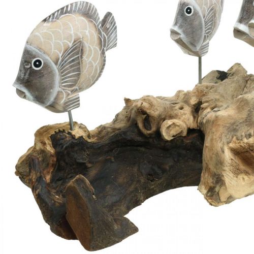 Floristik24 Deko-Fische auf Wurzelholz Maritime Deko Figuren Braun 38cm