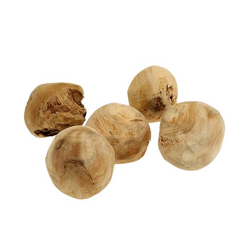 Floristik24 Wurzelball Tannenholz Ø7cm Natur 5St