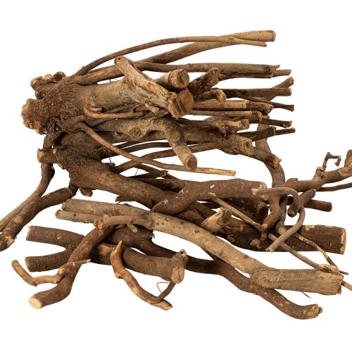 Deko Holzäste naturgetrocknet 18 cm 500 g für floristische Gestaltung bestellen | Floristik24.at