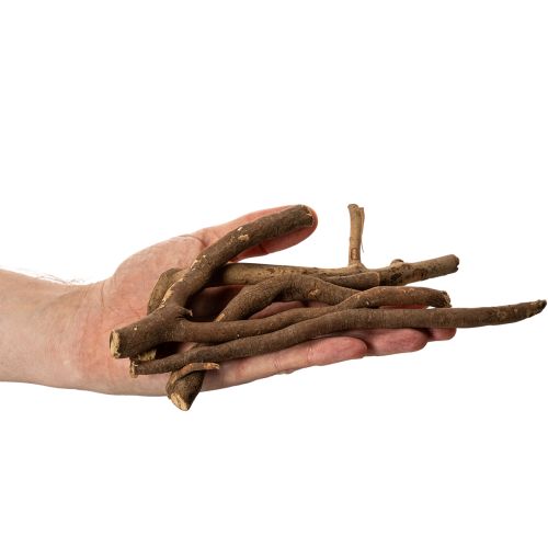 Deko Holzäste naturgetrocknet 18 cm 500 g für floristische Gestaltung | Floristik24.at
