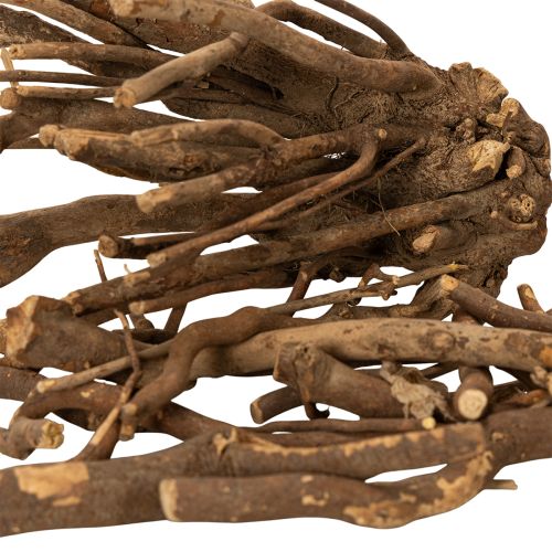 Deko Holzäste naturgetrocknet 18 cm 500 g für floristische Gestaltung | Floristik24.at