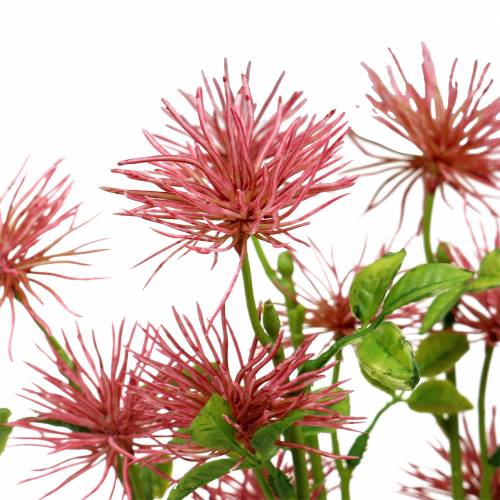 Floristik24 Xanthium Seidenblume Altrosa 53cm 6St