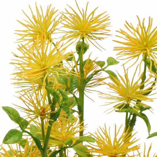 Floristik24 Xanthium Seidenblume Gelb 53cm 6St