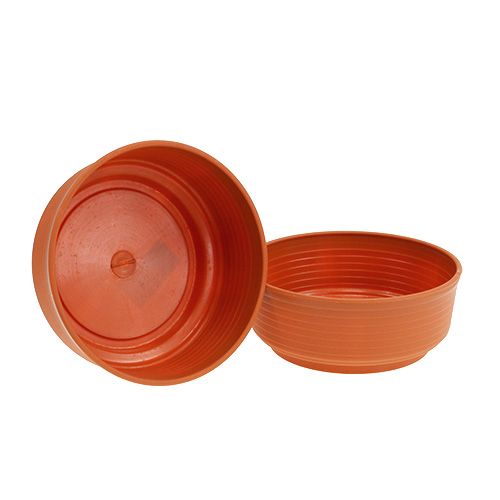 Z-Schale Plastik 18cm 10St