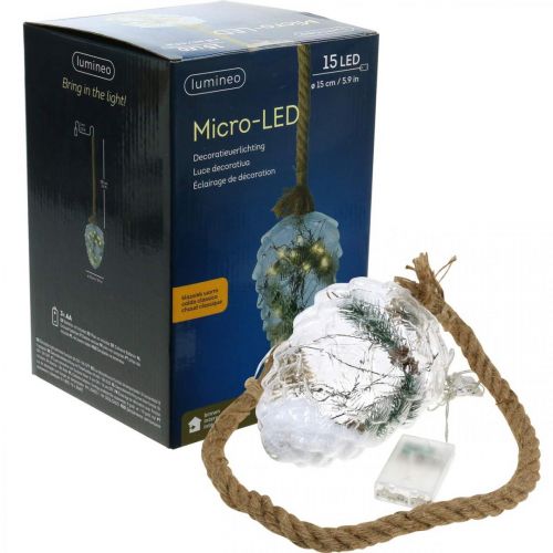 Floristik24 Zapfen beleuchtet, Weihnachtsdeko, LED-Lichter Timer H21cm