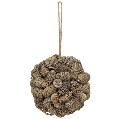 Floristik24 Zapfenkugel zum Hängen Erlenzapfen Weiß gewaschen 12cm