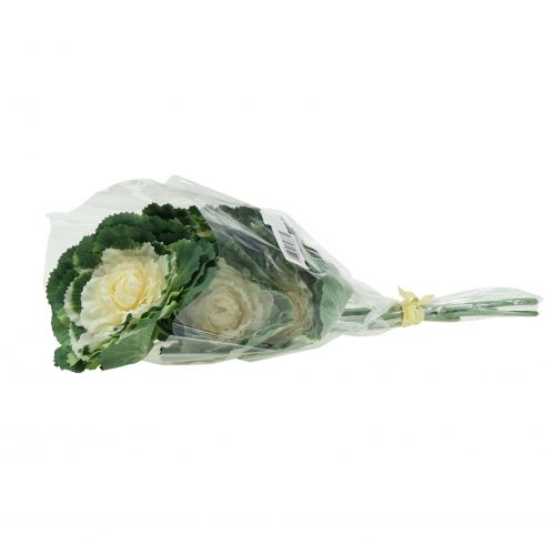 Floristik24 Künstlicher Zierkohl Weiß, Grün 25cm 6St