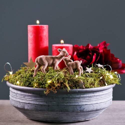 Floristik24 Zinkschale Ø31,5cm H10cm