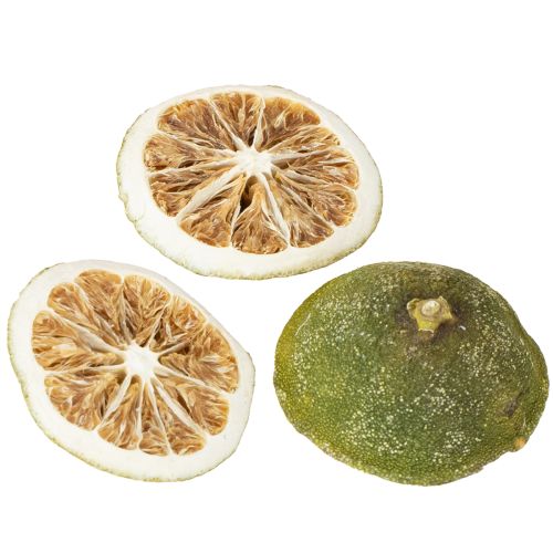 Floristik24 Zitronen halb Grün 500g