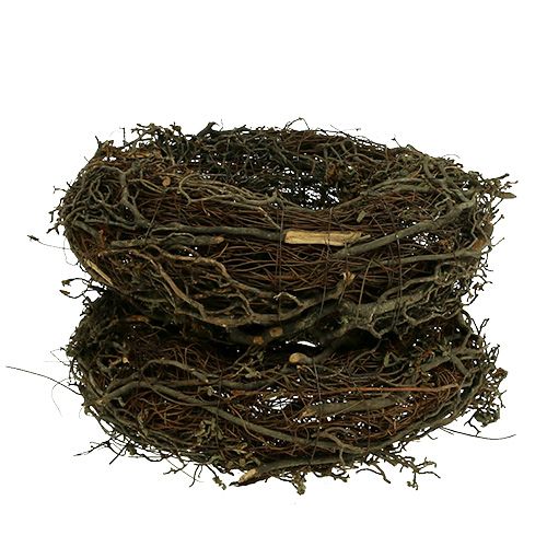 Floristik24 Zweigkranz Ø25cm 2St. Natur