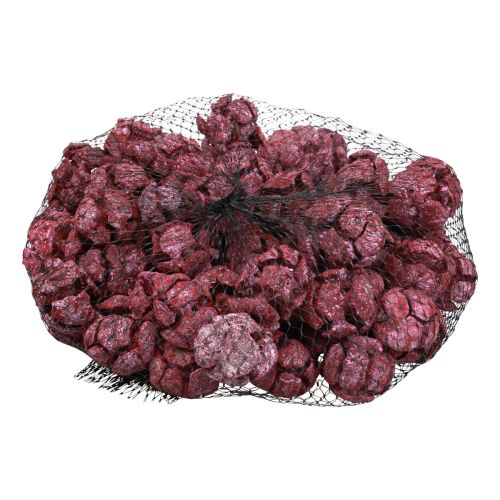 Artikel Zypressen Zapfen Gefrostet Naturdeko 3cm Dunkelrot 500g