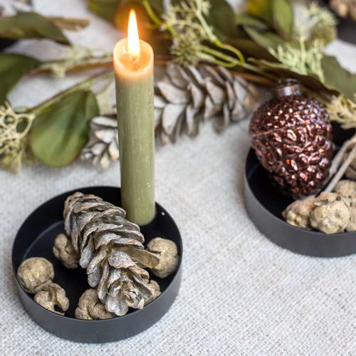 Floristik24 Zypressenzapfen Natur, Weihnachtsdeko, Bastelzapfen vergoldet Ø2–3cm H2,5–3,5g 330g