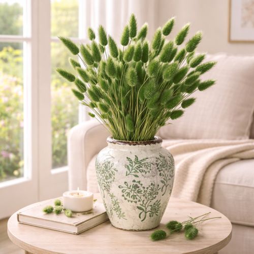 Artikel Lagurus Getrocknet Hasenschwanzgras 65-70cm 100g