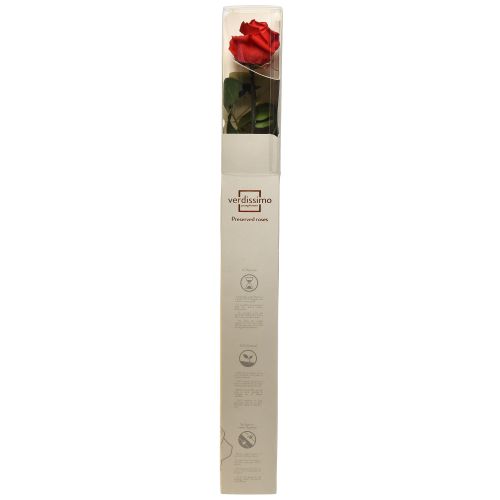 Artikel Infinity Rose mit Blättern Konserviert Amorosa Rot L54cm