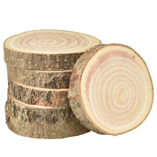 Artikel Baumscheibe Paulownia Blauglockenbaum Natur Ø12-14cm 6St