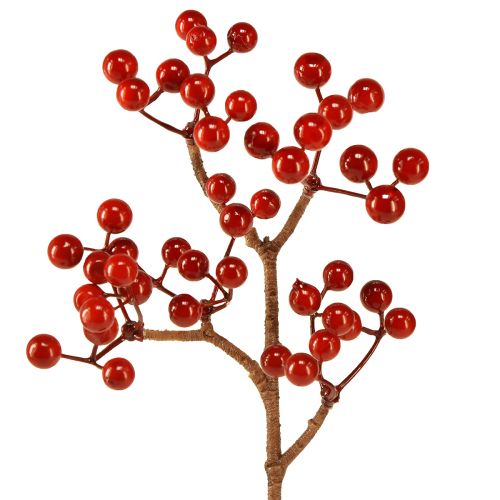 Floristik24 Leuchtend Rote Beerenzweige – Ideal für Festliche Dekorationen, 30 cm – Set aus 6 St