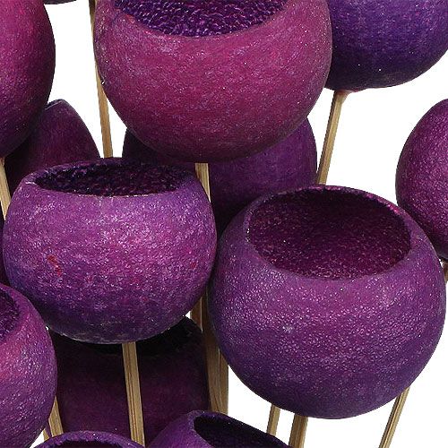 Floristik24 Bell Cup Mix am Stiel Erika 15 St