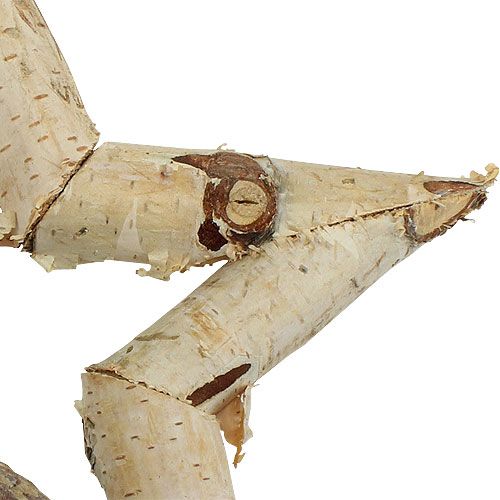 Floristik24 Birkenstern zum Hängen 22cm