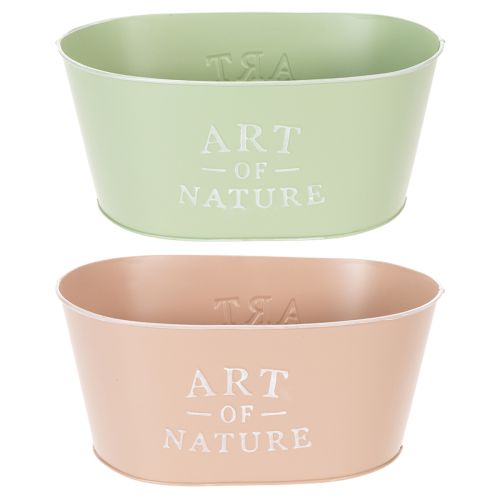 Blumenschale oval Zink 27×18×12,5cm Pastellfarben für Innen und Außen bestellen | Floristik24.at