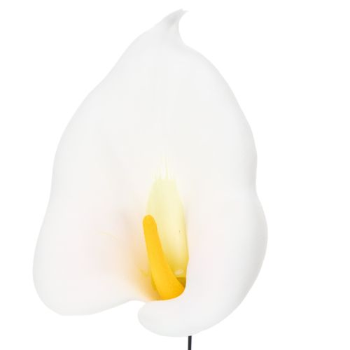 Künstliche mittlere Calla am Draht 37 cm Weiß 50 Stück | Floristik24.at