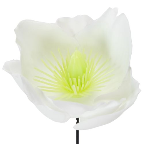 Künstliche Christrose Weiß am Draht, 32cm, 50 Stück | Floristik24.at