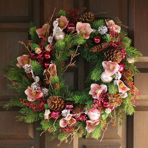 Eleganter Strauß Rosa Christrosen – 35 cm 6St.