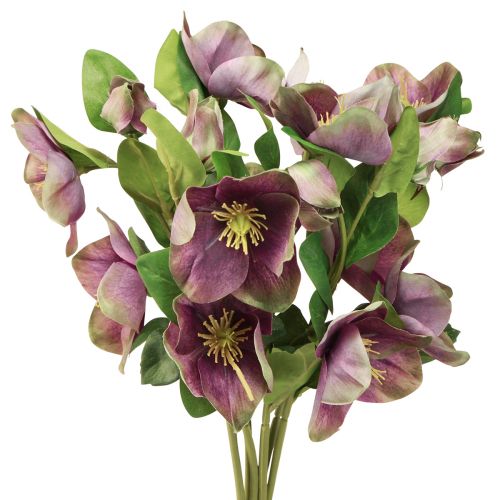 Floristik24 Christrosen Künstlich Schneerose Lila Blüte L35cm 6 St
