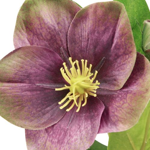 Artikel Christrosen Künstlich Schneerose Lila Blüte L35cm 6 St
