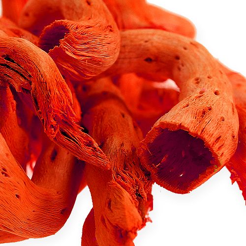 Floristik24 Cupy-Wurzel in Orange 350g