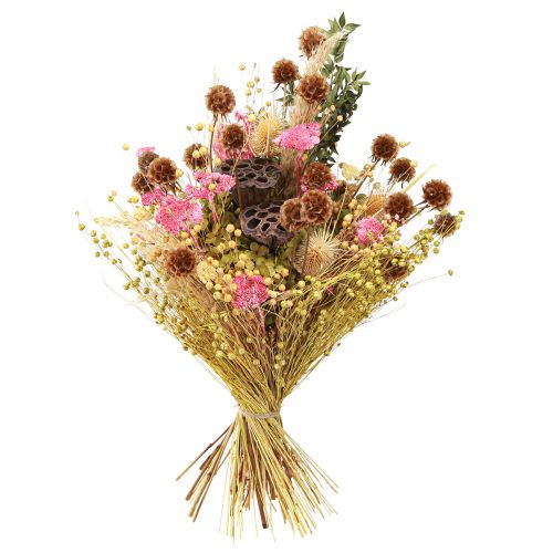 Artikel Deko Flachs Getrocknet Trockenblumen Olivgrün 50g
