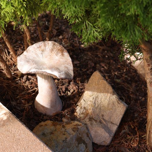 Artikel Deko Pilz Steinguss Herbstdeko Grau gewaschen 19×15cm H23cm
