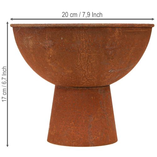 Deko Pokalschale aus Metall mit Rost-Optik Ø20,5cm mit Standfuß, 2er Set | Floristik24.at