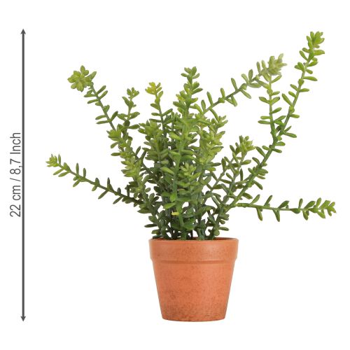 Artikel Deko Thymian im Topf Künstliche Kräuter Küchendeko 25cm
