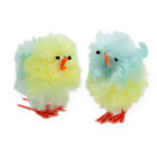 Floristik24 Chenilleküken Gelb, Blau 5cm 4St
