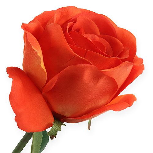 Floristik24 Deko-Rosen Orange 32cm 6St