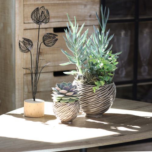 Dekoschale Keramik Spiral Dekor Beige Braun Ø9cm 4St