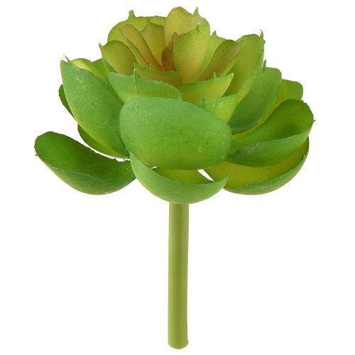 Artikel Echeveria Künstliche Sukkulenten Grün Ø7cm 6St