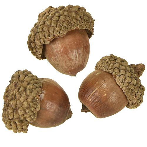 Artikel Eicheln zum Dekorieren, Herbstdeko, Herbstfrüchte natürlich Ø1,5 – 2,5cm L1,5 – 3cm 300g